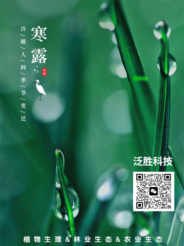 節氣寒露曬風景簡約風plog模板 - 副本.jpg